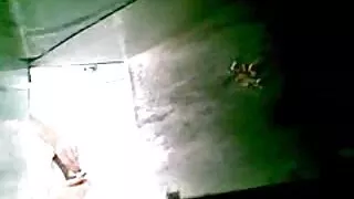 Noorte valitud Lovelace fucks vagiina ja perse