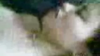 Uhke valge karvane kral guardando
